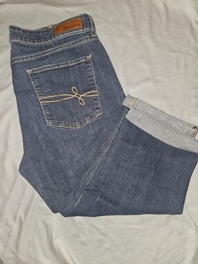 Denizen from Levi's Dark Blue Women's Capris